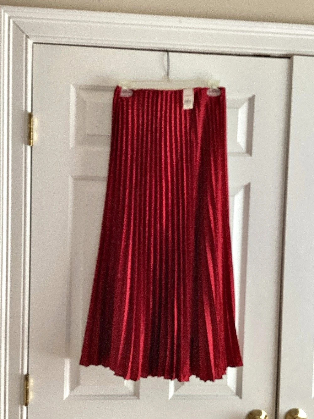 Pleated Maxi Skirt in Red, Like New
